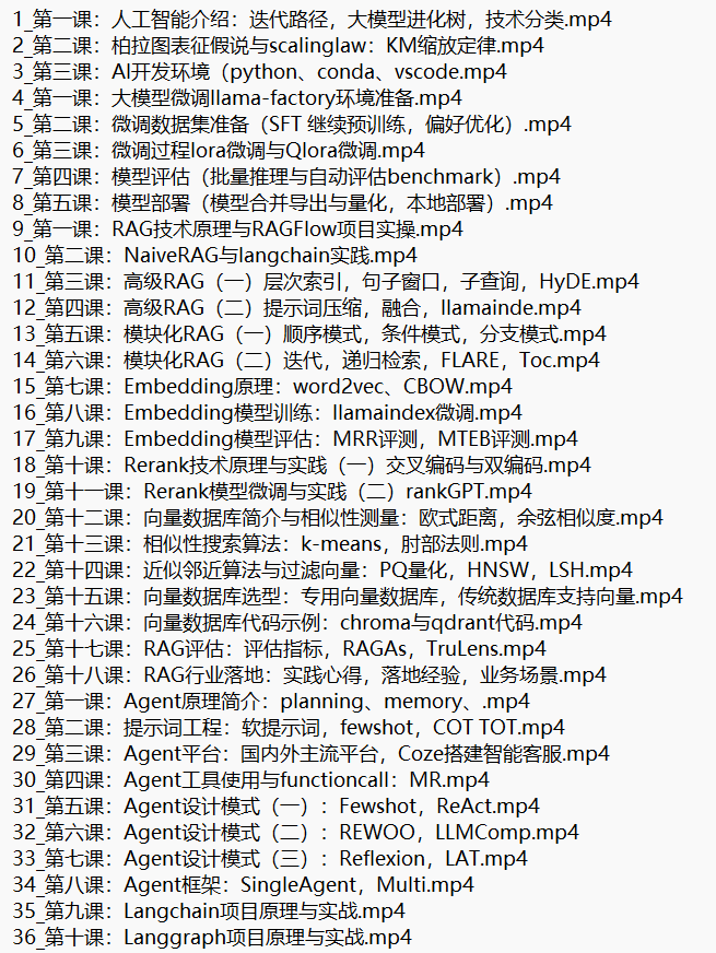 AI大模型應(yīng)用開發(fā)模型訓(xùn)練RAG-Agent-AI項目實戰(zhàn) 視頻教程 下載 圖1